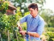 Landscaping & Gardening