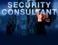 Security Consultant