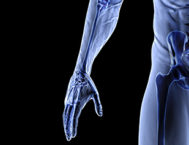 Anatomy & Physiology (QQI Lvl 5)